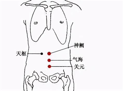 氣海關元位置|肚子上的四大要穴——氣海、關元、神闕、命門